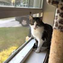 Thumbnail photo of May #3