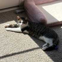 Thumbnail photo of May #4