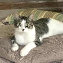 Thumbnail photo of Riley #1