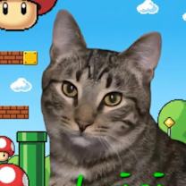 Thumbnail photo of Luigi #1