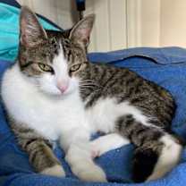 Thumbnail photo of CATAMARAN #2