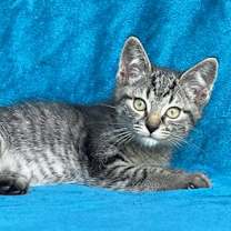 Thumbnail photo of Noah #4