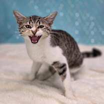 Thumbnail photo of Jacqueline-C #3