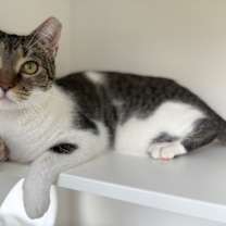 Thumbnail photo of Keety #4