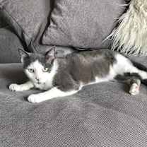 Thumbnail photo of Alexandria #2