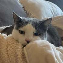 Thumbnail photo of Alexandria #3