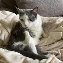 Thumbnail photo of Alexandria #4