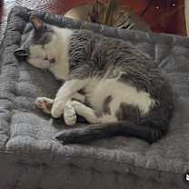 Thumbnail photo of Alexandria #1