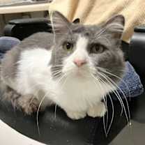 Thumbnail photo of DJ - KBC #3