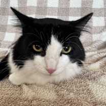 Thumbnail photo of Chris #2