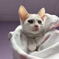 Thumbnail photo of 59380532 #1