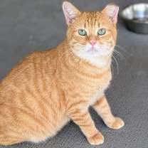 Thumbnail photo of Flynn Rider #3