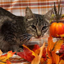 Thumbnail photo of Bethany #3