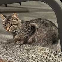 Thumbnail photo of Bethany #4