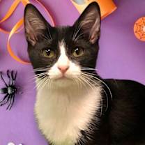 Thumbnail photo of Beatrice #1