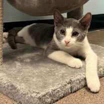 Thumbnail photo of Frederick #1