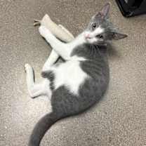 Thumbnail photo of Frederick #2