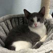 Thumbnail photo of Frederick #3