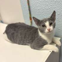 Thumbnail photo of Frederick #4