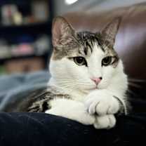 Thumbnail photo of Peanut #1