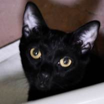 Thumbnail photo of Sourdough #2