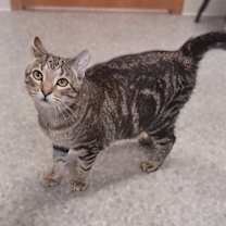 Thumbnail photo of Delaney #3