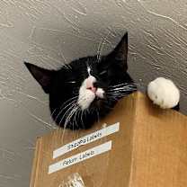 Thumbnail photo of Davy Jones #2