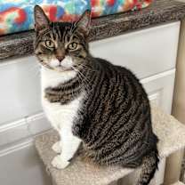 Thumbnail photo of SASHA #2