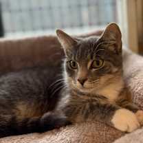 Thumbnail photo of Benny Benassi #2