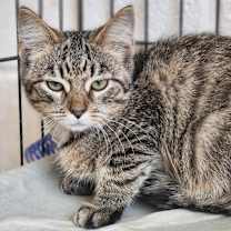 Thumbnail photo of Wesley #1