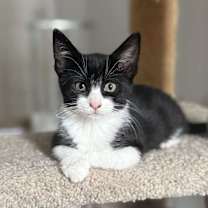 Thumbnail photo of Gwen #1