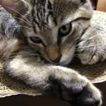 Thumbnail photo of Krystal #2