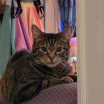 Thumbnail photo of Layla #4