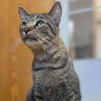 Thumbnail photo of Toni #1