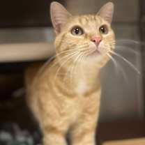 Thumbnail photo of Charlie #1