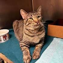 Thumbnail photo of Toni #2