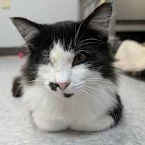 Thumbnail photo of Spot #1