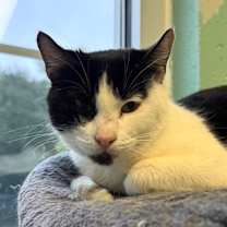 Thumbnail photo of Girly #1