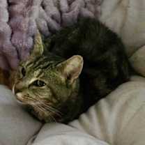 Thumbnail photo of Jasmine #1