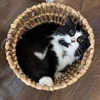 Thumbnail photo of Leroy #2