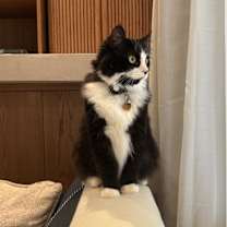 Thumbnail photo of Leroy #4