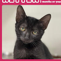 Thumbnail photo of Wednesday #1