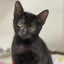 Thumbnail photo of Wednesday #2