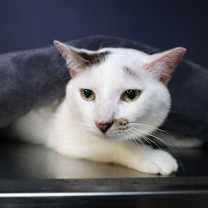 Thumbnail photo of Jamison #1