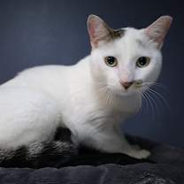 Thumbnail photo of Jamison #4