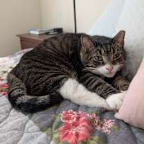 Thumbnail photo of Ross & Joey #4