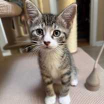 Thumbnail photo of Camellia Allen-CA #1