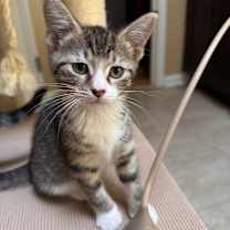 Thumbnail photo of Camellia Allen-CA #2