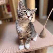 Thumbnail photo of Camellia Allen-CA #3