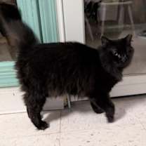 Thumbnail photo of Molina #4